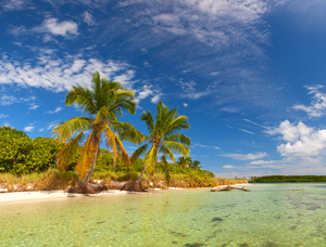 Under Water in the Caribbean